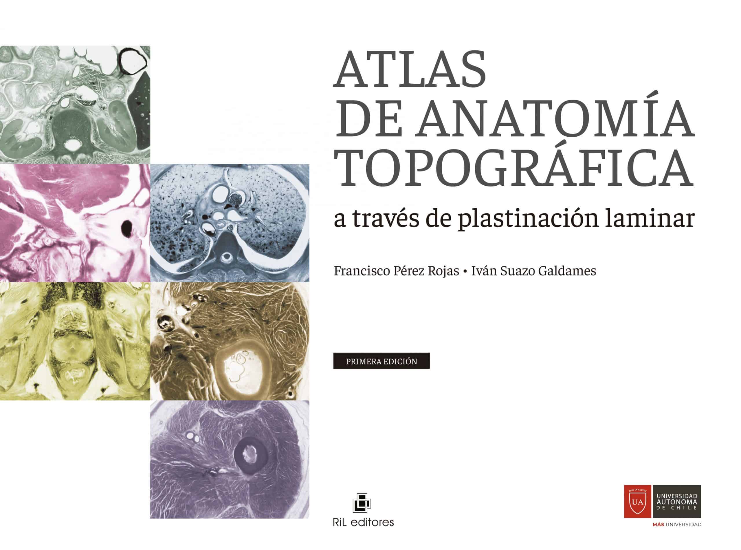Atlas de Anatomía Topográfica a través de plastinación laminar 1