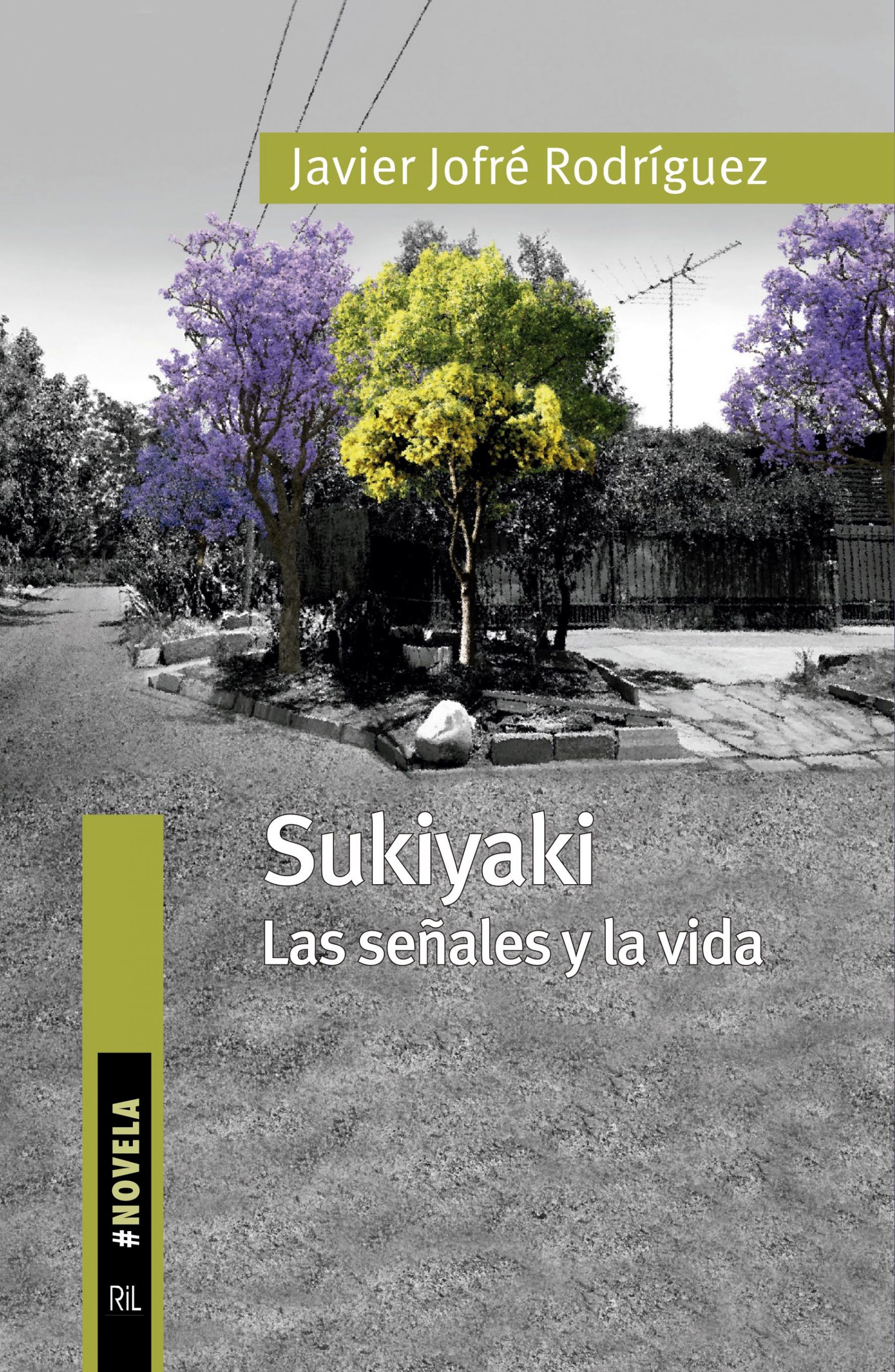 Sukiyaki. Las señales y la vida 1