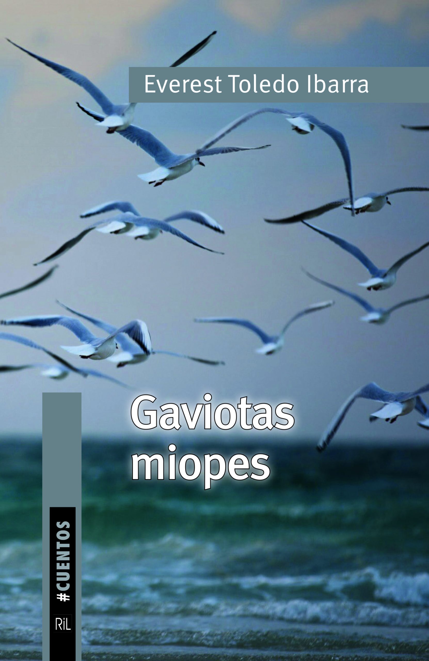 Gaviotas miopes